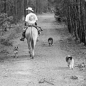 Meet your Posher, Steve